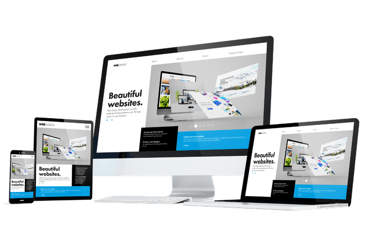 Website Design Services